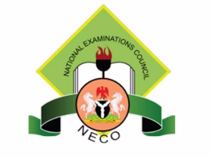 NECO releases 2024 results — Here's how to check NewsWireNGR