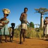 group-of-people-standing-near-baobab-trees-madagascar